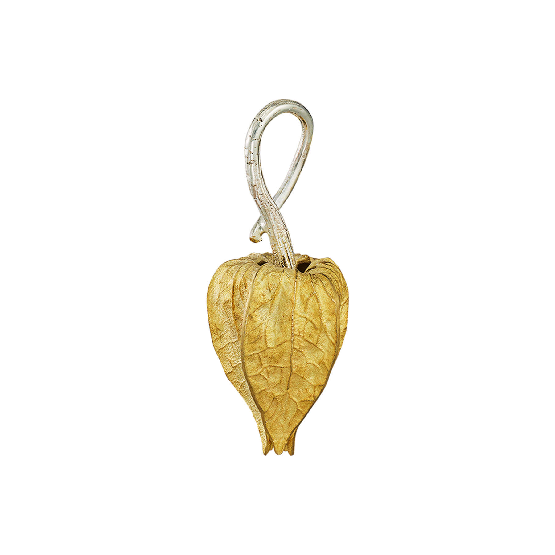 Подвеска Физалис